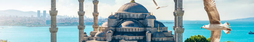 Percona University Istanbul Open Source Databases Meetup 2024